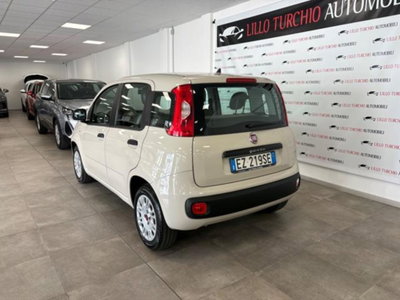 Fiat Panda 1.2 Easy (4)