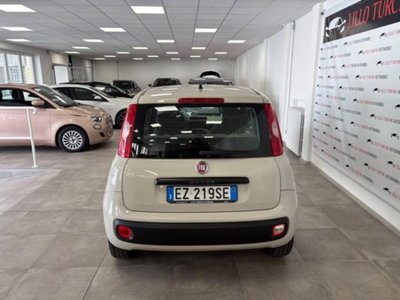 Fiat Panda 1.2 Easy (5)
