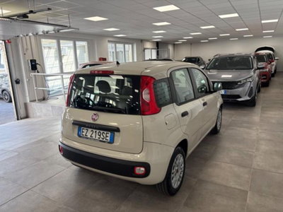 Fiat Panda 1.2 Easy (6)