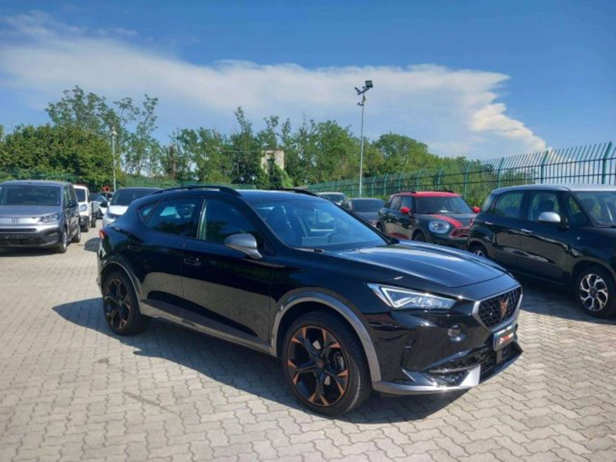 Cupra Formentor Formentor 2.0 tsi 4drive 190cv dsg (3)