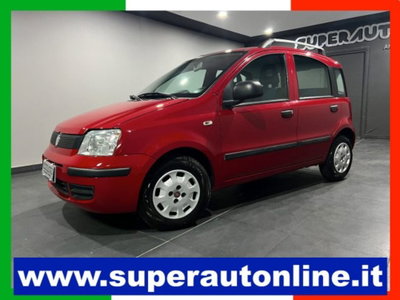 Fiat Panda 1.2 Dynamic usata