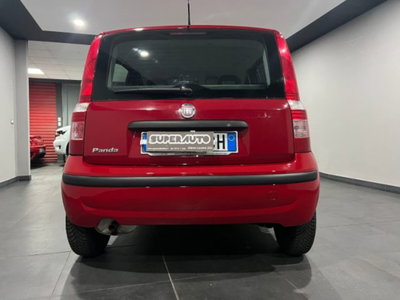 Fiat Panda 1.2 Dynamic (4)