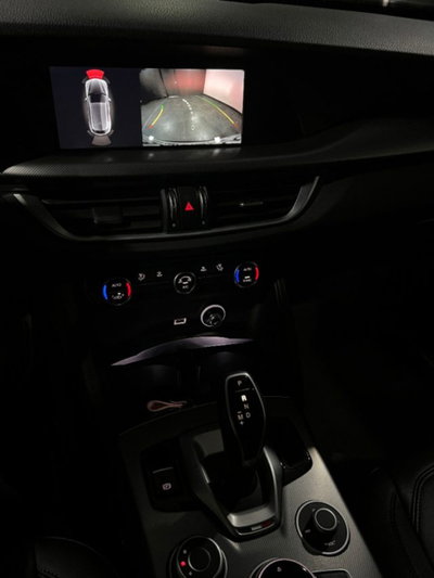 Alfa Romeo Stelvio Stelvio 2.2 Turbodiesel 190 CV AT8 Q4 Sprint (9)