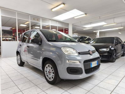 Fiat Panda 1.2 Easy usata