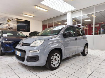 Fiat Panda 1.2 Easy (3)