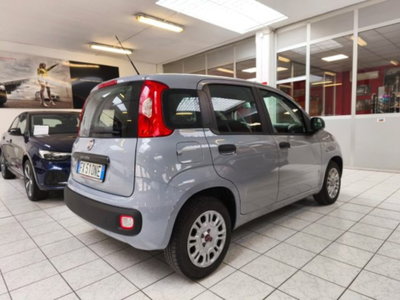 Fiat Panda 1.2 Easy (6)