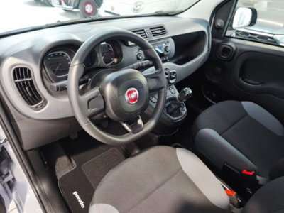 Fiat Panda 1.2 Easy (8)