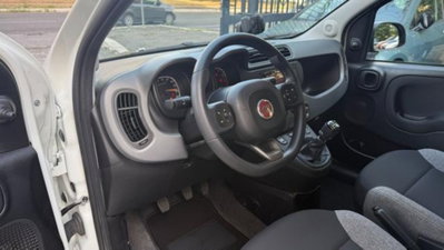 Fiat Panda 1.0 firefly hybrid s&s 70cv 5p.ti (19)