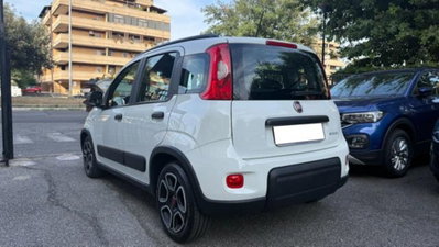 Fiat Panda 1.0 firefly hybrid s&s 70cv 5p.ti (4)