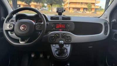 Fiat Panda 1.0 firefly hybrid s&s 70cv 5p.ti (6)