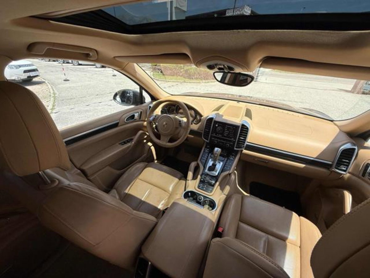 Porsche Cayenne 3.0 Diesel 250CV Platinum Edition (19)