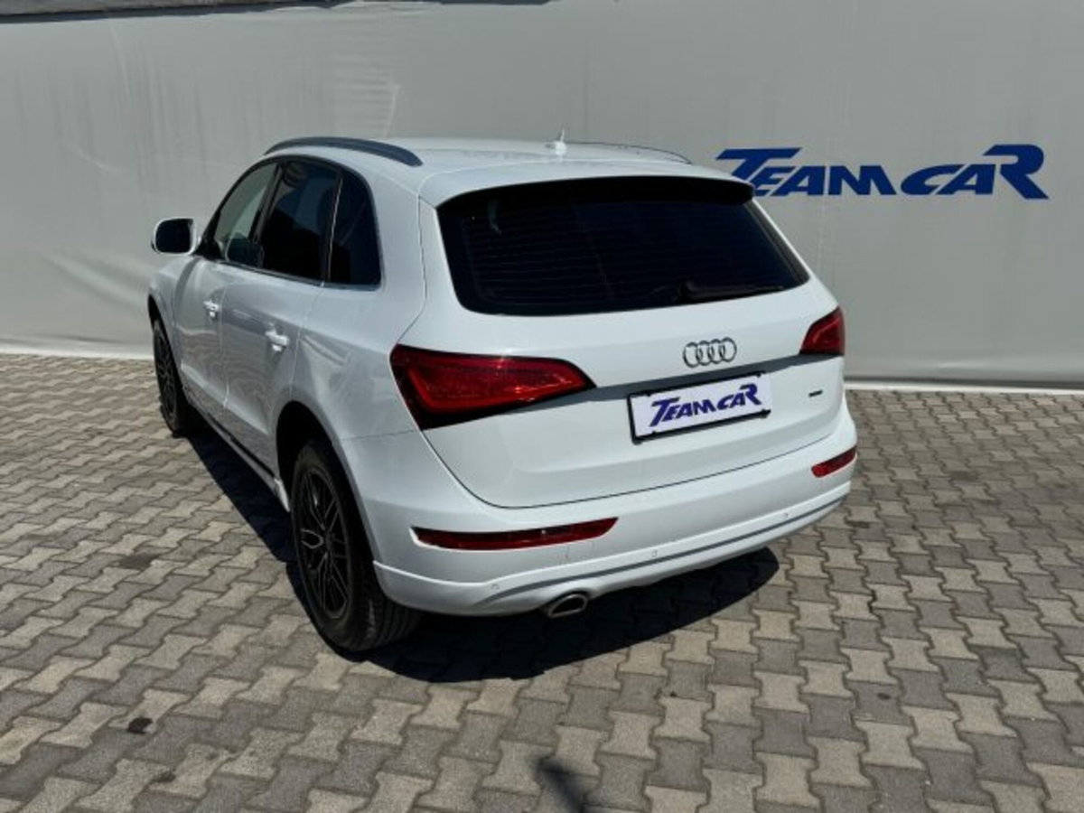 Audi Q5 2.0 TDI 177CV quattro S tronic Business (13)