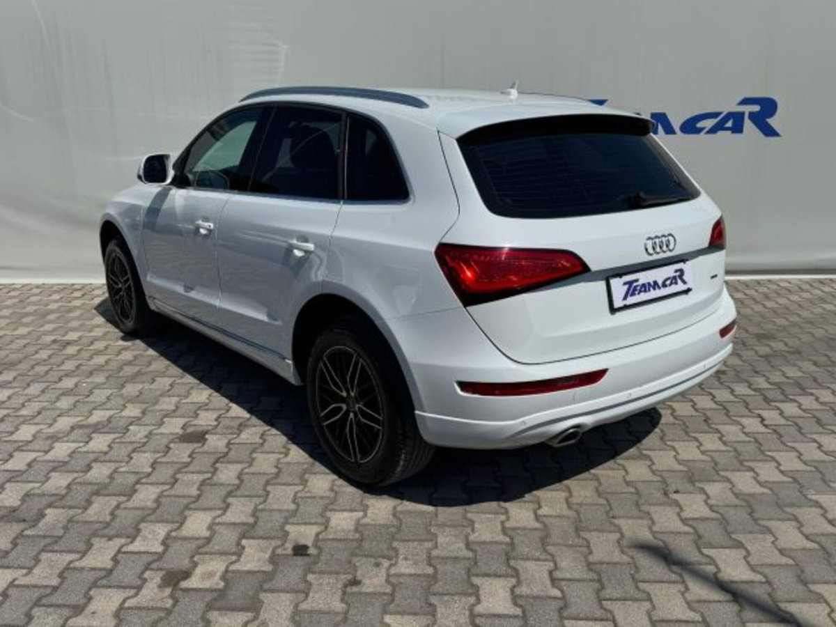Audi Q5 2.0 TDI 177CV quattro S tronic Business (3)