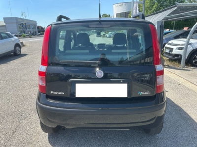 Fiat Panda 1.2 Dynamic Natural Power (4)