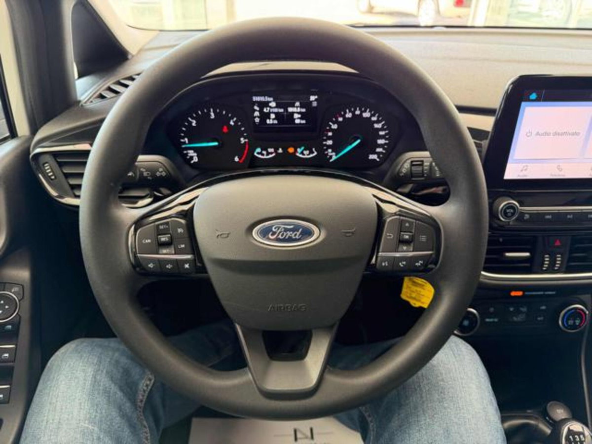Ford Fiesta 1.5 EcoBlue 5 porte Business High (11)