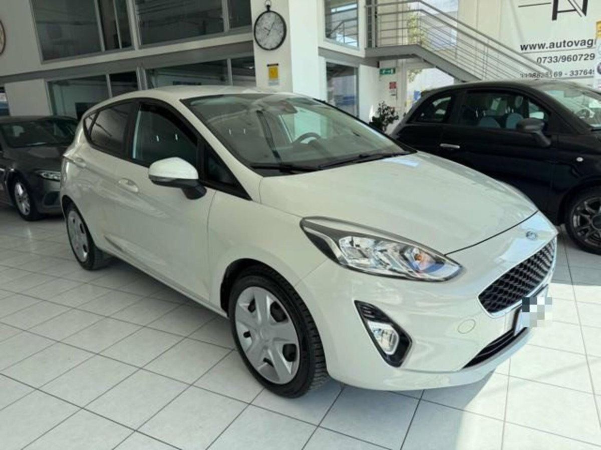 Ford Fiesta 1.5 EcoBlue 5 porte Business High (2)