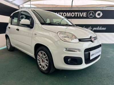 Fiat Panda 1.2 Easy usata