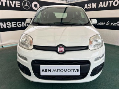 Fiat Panda 1.2 Easy (2)