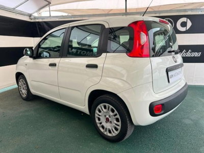 Fiat Panda 1.2 Easy (4)