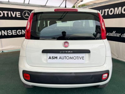 Fiat Panda 1.2 Easy (5)