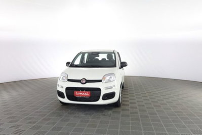 Fiat Panda 1.0 firefly hybrid Icon s&s 70cv nuova