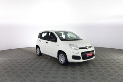 Fiat Panda 1.0 firefly hybrid Icon s&s 70cv (2)