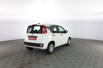 Fiat Panda 1.0 firefly hybrid Icon s&s 70cv (4)