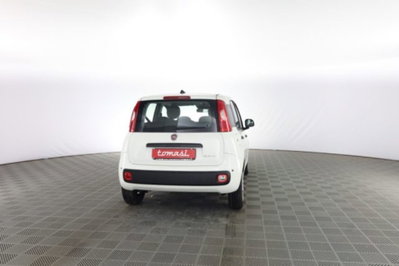 Fiat Panda 1.0 firefly hybrid Icon s&s 70cv (5)