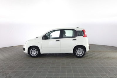 Fiat Panda 1.0 firefly hybrid Icon s&s 70cv (7)