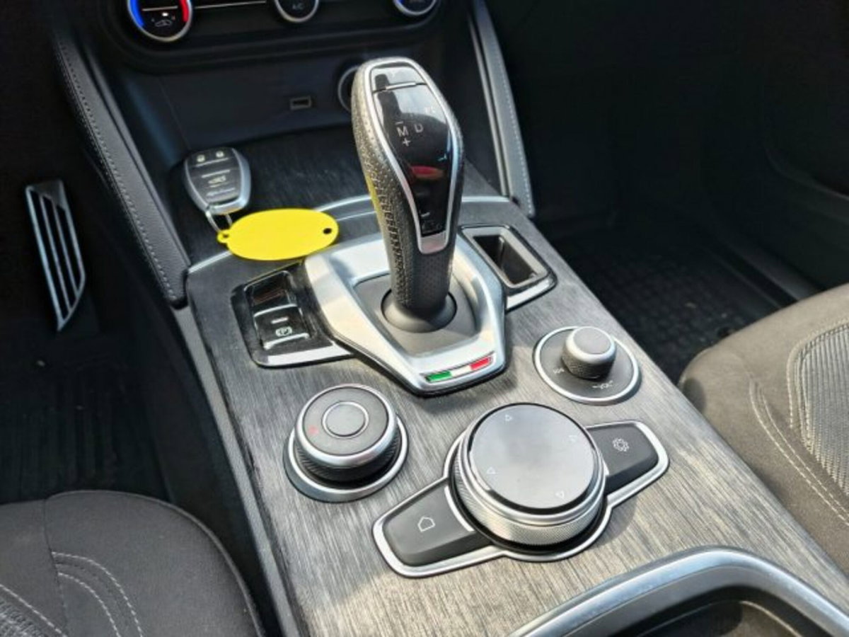 Alfa Romeo Stelvio Stelvio 2.2 Turbodiesel 160 CV AT8 RWD Super Business (13)