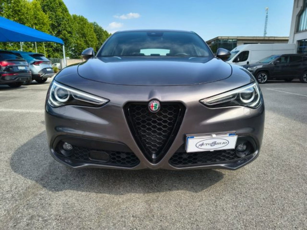 Alfa Romeo Stelvio Stelvio 2.2 Turbodiesel 160 CV AT8 RWD Super Business (2)