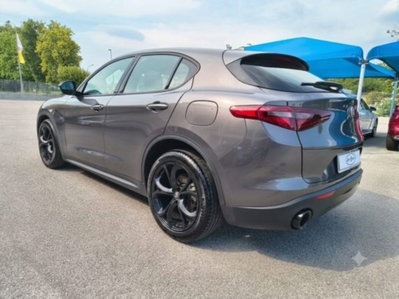 Alfa Romeo Stelvio Stelvio 2.2 Turbodiesel 160 CV AT8 RWD Super Business (7)
