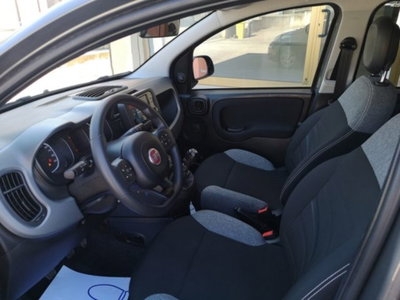 Fiat Panda 1.0 firefly hybrid s&s 70cv 5p.ti (11)