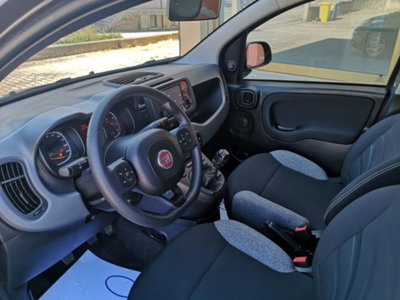 Fiat Panda 1.0 firefly hybrid s&s 70cv 5p.ti (12)