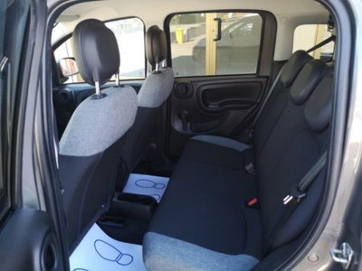 Fiat Panda 1.0 firefly hybrid s&s 70cv 5p.ti (13)