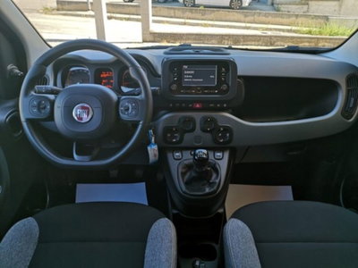 Fiat Panda 1.0 firefly hybrid s&s 70cv 5p.ti (14)