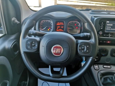 Fiat Panda 1.0 firefly hybrid s&s 70cv 5p.ti (15)