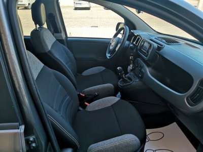 Fiat Panda 1.0 firefly hybrid s&s 70cv 5p.ti (17)