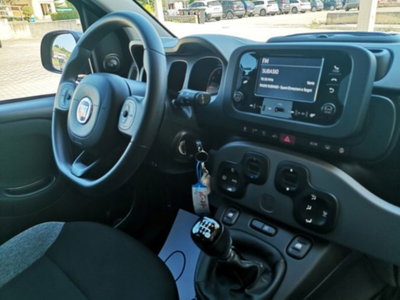 Fiat Panda 1.0 firefly hybrid s&s 70cv 5p.ti (18)