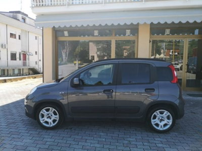 Fiat Panda 1.0 firefly hybrid s&s 70cv 5p.ti (2)