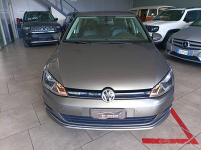 Volkswagen Golf 1.4 TGI DSG 5p. Highline BlueMotion (2)