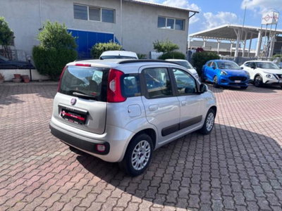 Fiat Panda 1.2 Lounge (3)