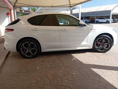 Alfa Romeo Stelvio Stelvio 2.2 Turbodiesel 210 CV AT8 Q4 Veloce (9)