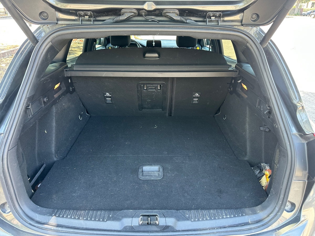 Ford Focus Station Wagon 1.5 EcoBlue 120 CV automatico SW Active Co-Pilot (14)
