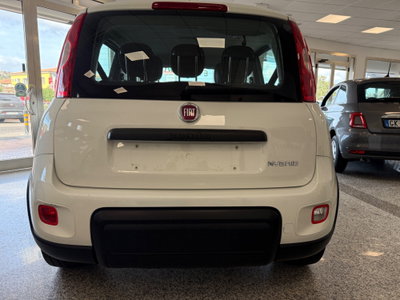 Fiat Panda 1.0 FireFly S&S Hybrid City Life (4)