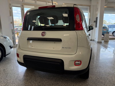 Fiat Panda 1.0 FireFly S&S Hybrid City Life (5)