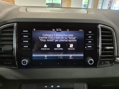 Skoda Karoq 2.0 TDI EVO SCR 115 CV DSG Executive (13)