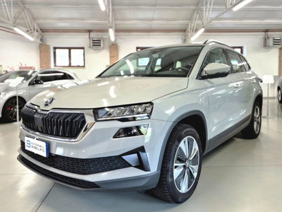 Skoda Karoq 2.0 TDI EVO SCR 115 CV DSG Executive (3)