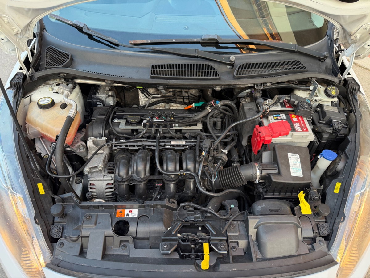 Ford Fiesta 1.4 5 porte Bz.- GPL Titanium (17)