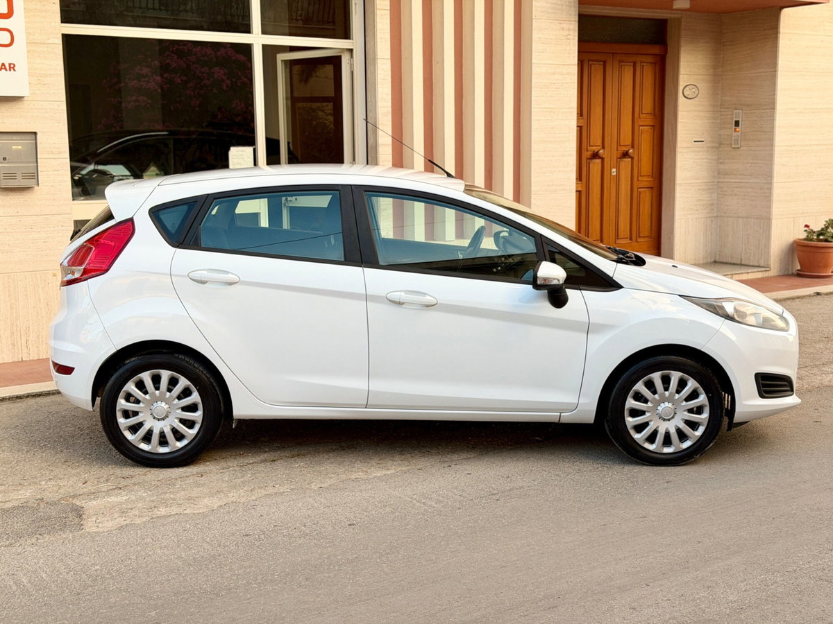 Ford Fiesta 1.4 5 porte Bz.- GPL Titanium (2)